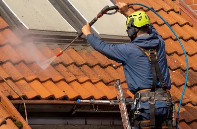 Démoussage et hydrofuge de toiture à Landaul